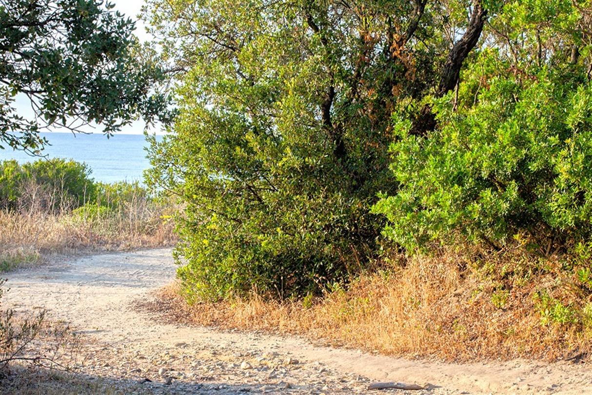 Pad naar vijver U Stagnolu - Domaine de Bagheera, naturistencamping Corsica