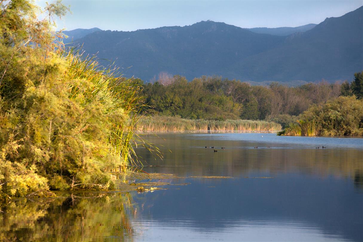 Etang U Stagnolu op de Corsicaanse naturistencamping, Domaine de Bagheera