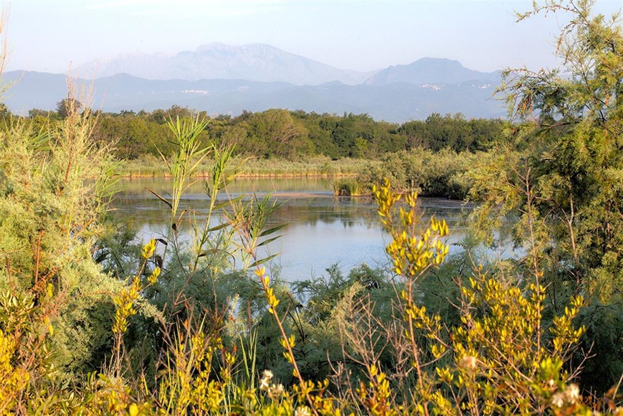 vijver U Stagnolu - Domaine de Bagheera, naturistenvakantie op Corsica