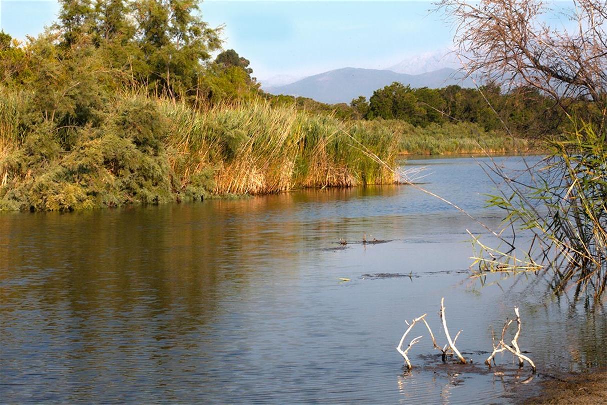 Domaine de Bagheera, naturistencamping in Corsica en de U Stagnolu-vijver