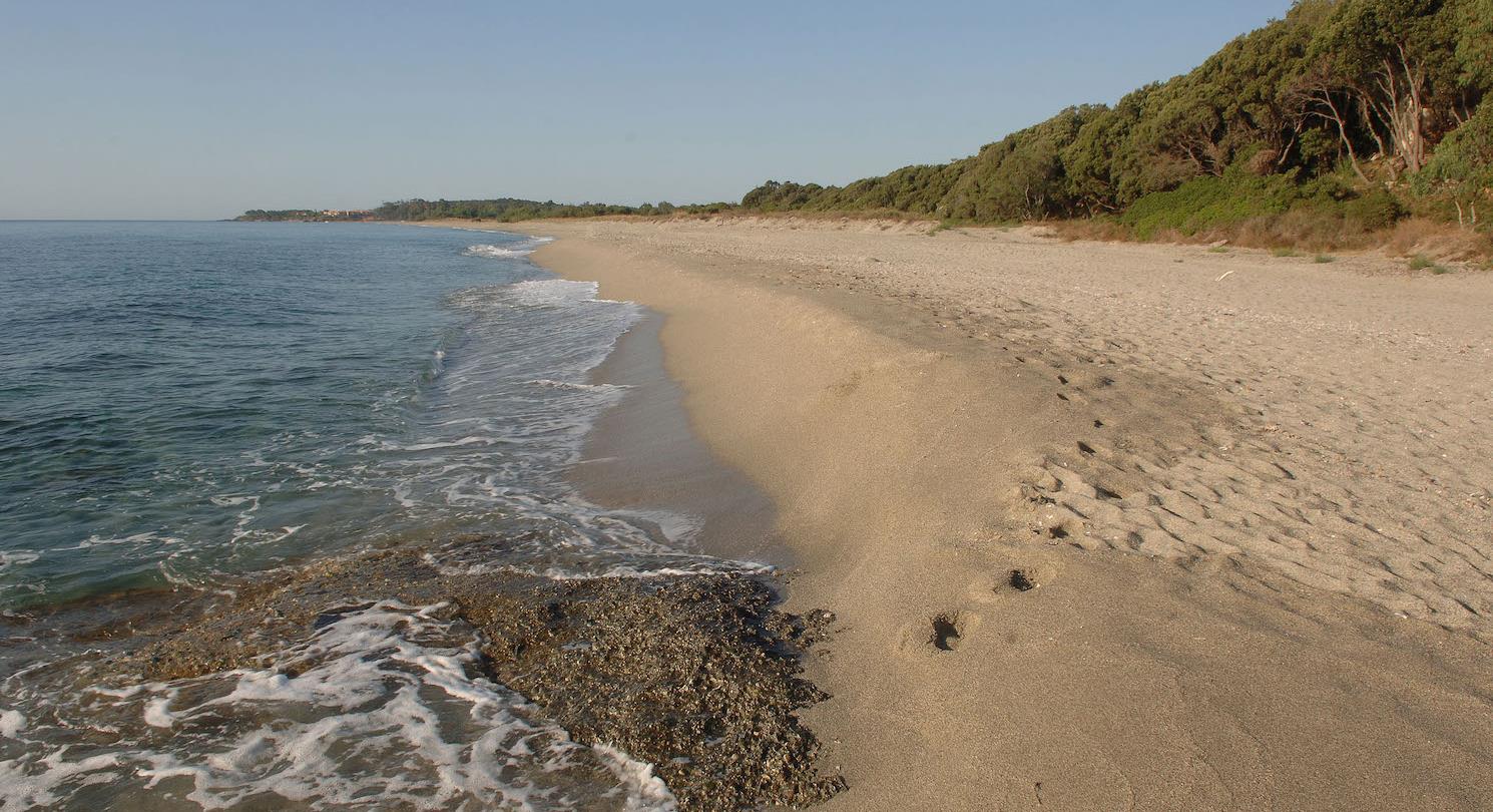 Strand Bagheera - naturistencamping Corsica