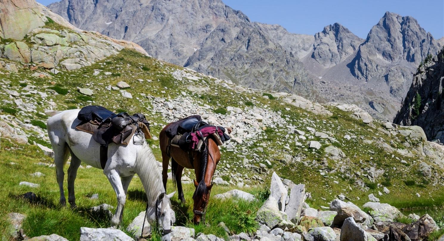 Paardrijden op Corsica - Naturistische vakantie Domaine de Bagheera
