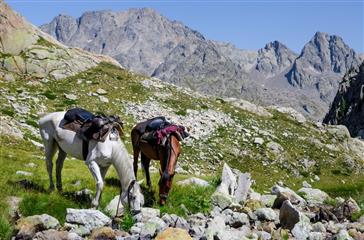 Paardrijden op Corsica - Naturistische vakantie Domaine de Bagheera