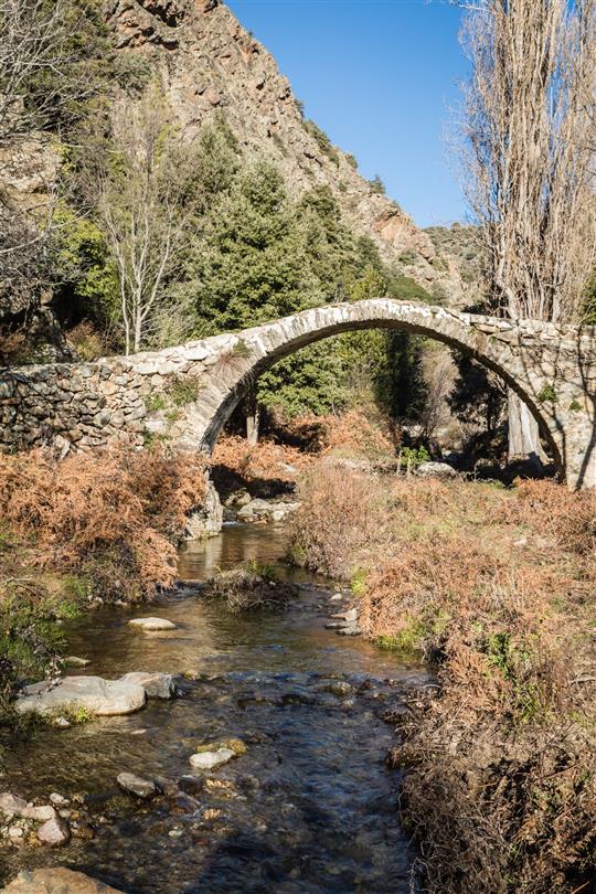 Corsica Tartagine Valley - Domaine de Bagheera, naturistencamping Corsica