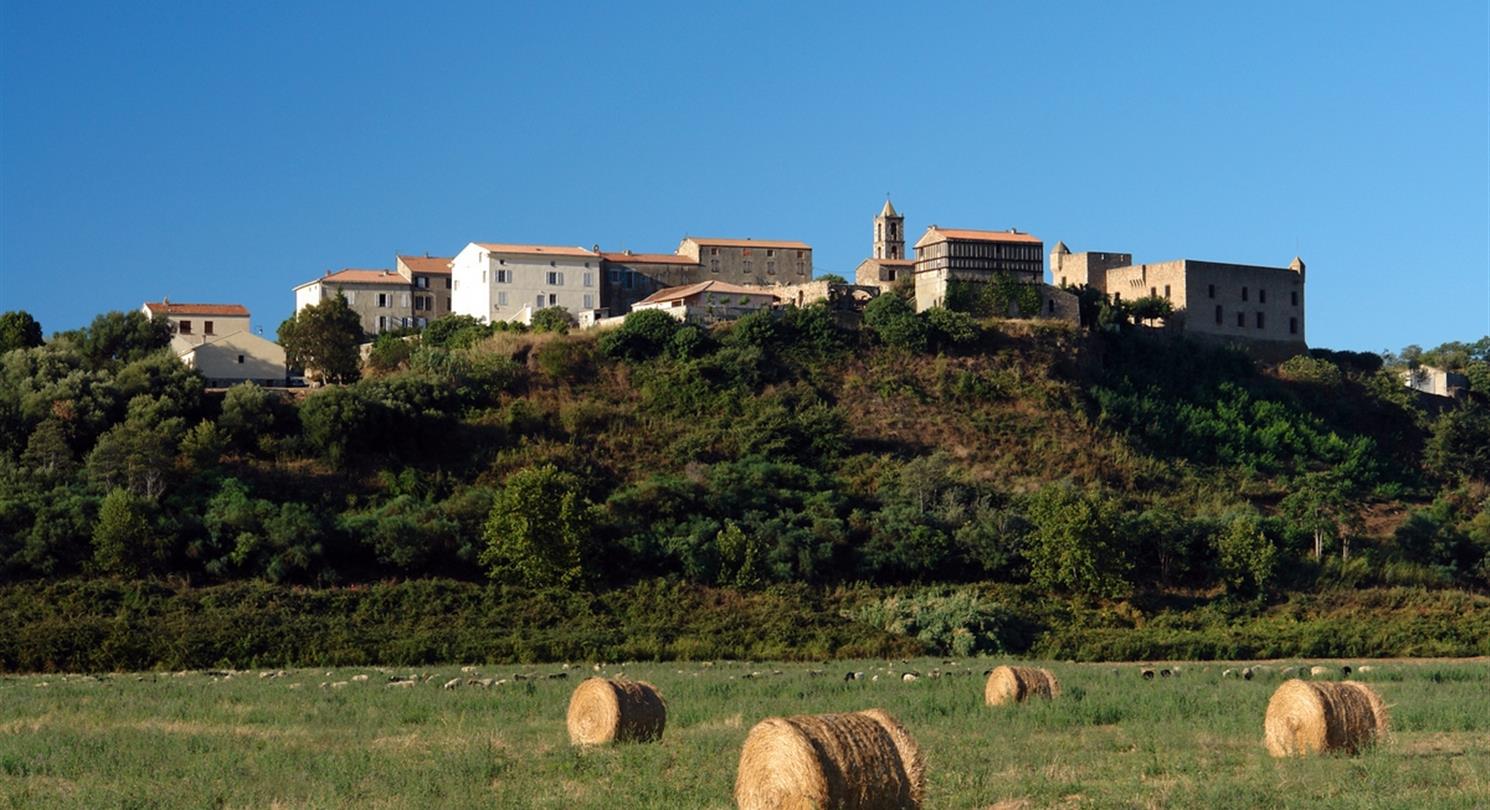 Archeologisch museum Aleria - Domaine de Bagheera, naturistencamping Corsica