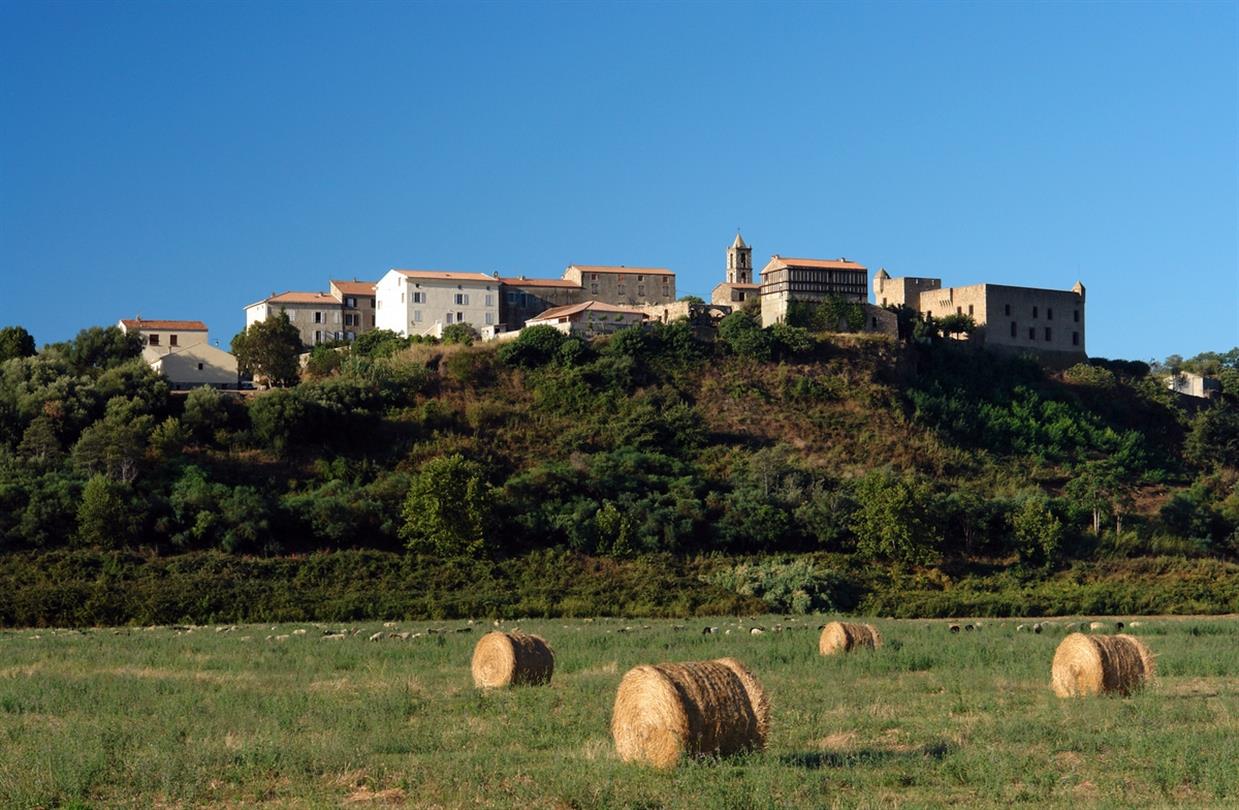 Archeologisch museum Aleria - Domaine de Bagheera, naturistencamping Corsica