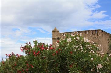Fort Matra Aleria - Domaine de Bagheera, residentie voor naturisten toerisme