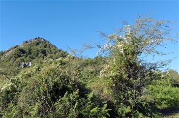 Costa Verde bergen en maquis in Haute Corse - Domaine de Bagheer