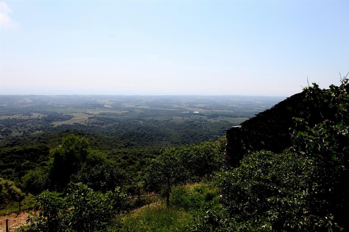 Linguizzetta - Creditfoto OT Oriente - naturistenstranden