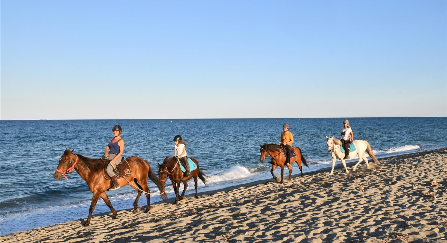 Naturistisch chalet op een camping aan zee tussen Bastia en Porto Vecchio - naturistencamping Corsica
