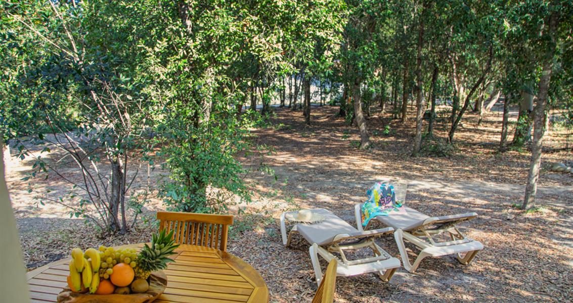 Mini Villa Type B1 - Mini villa verhuur op naturistencamping Corsica, 4-sterren camping 