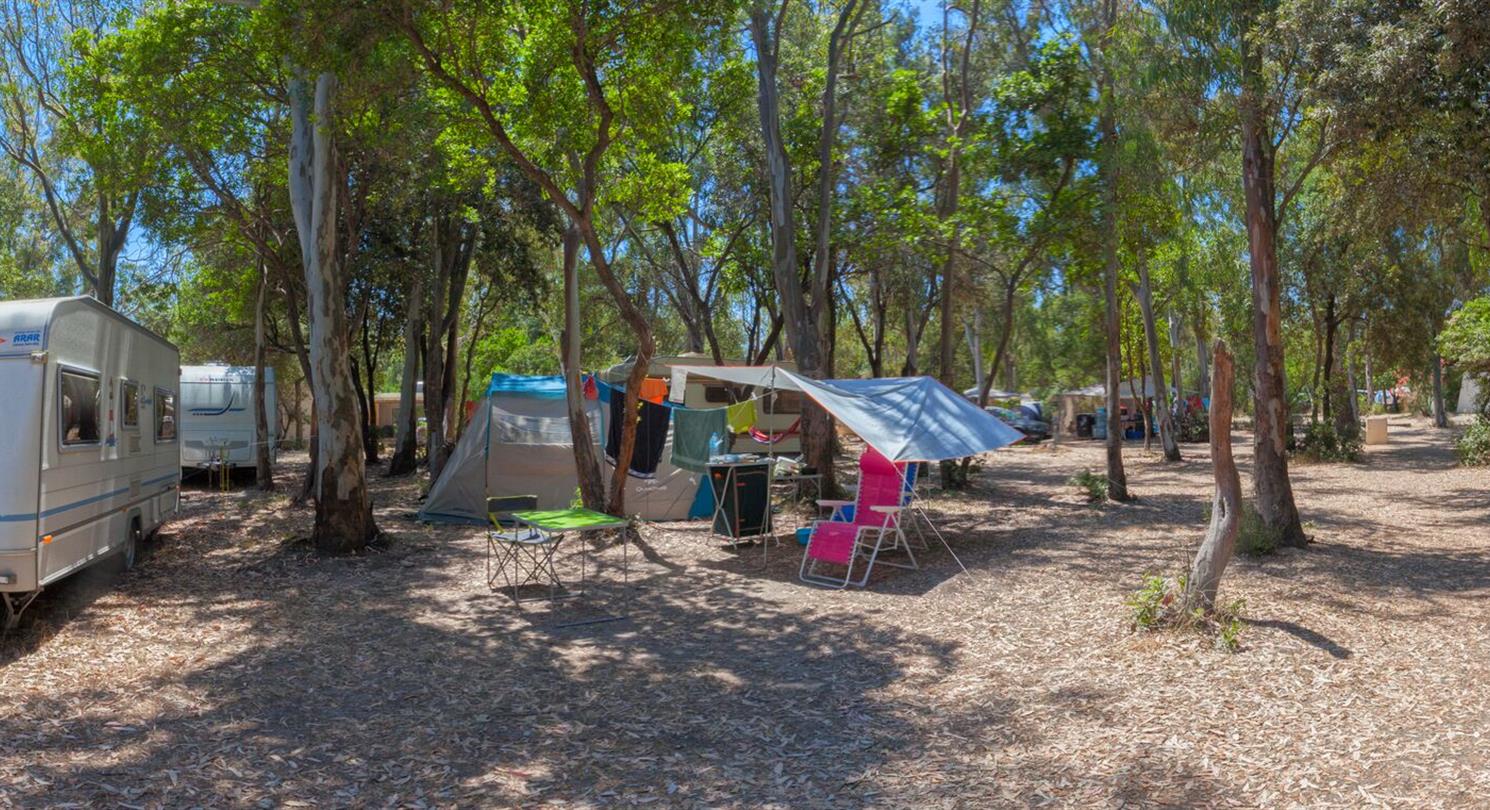 Kampeerplaatsen aan zee 4 sterren Corsica, Linguizzetta - Domaine de Bagheera